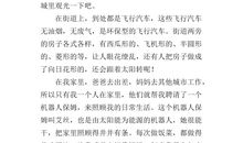 小学寒假作文：哥哥的相亲_450字