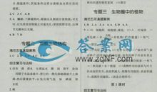 2017年潍坊中考材料作文范文：逆风的风筝