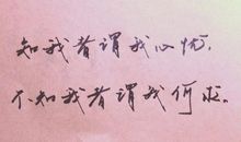 我的寒假见闻_800字