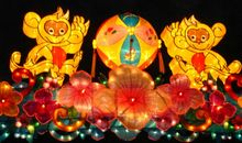 寒假见闻之观花灯_550字