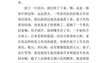 关于田园风光的作文：四季田园风光_650字