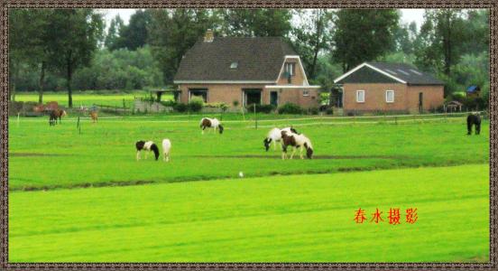 田园诗般的风景：田园风景_900字