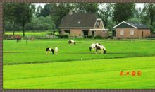 关于田园风光的作文：田园风光_900字