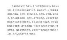 关于战争的作文：给战争中孩子的一封信_450字