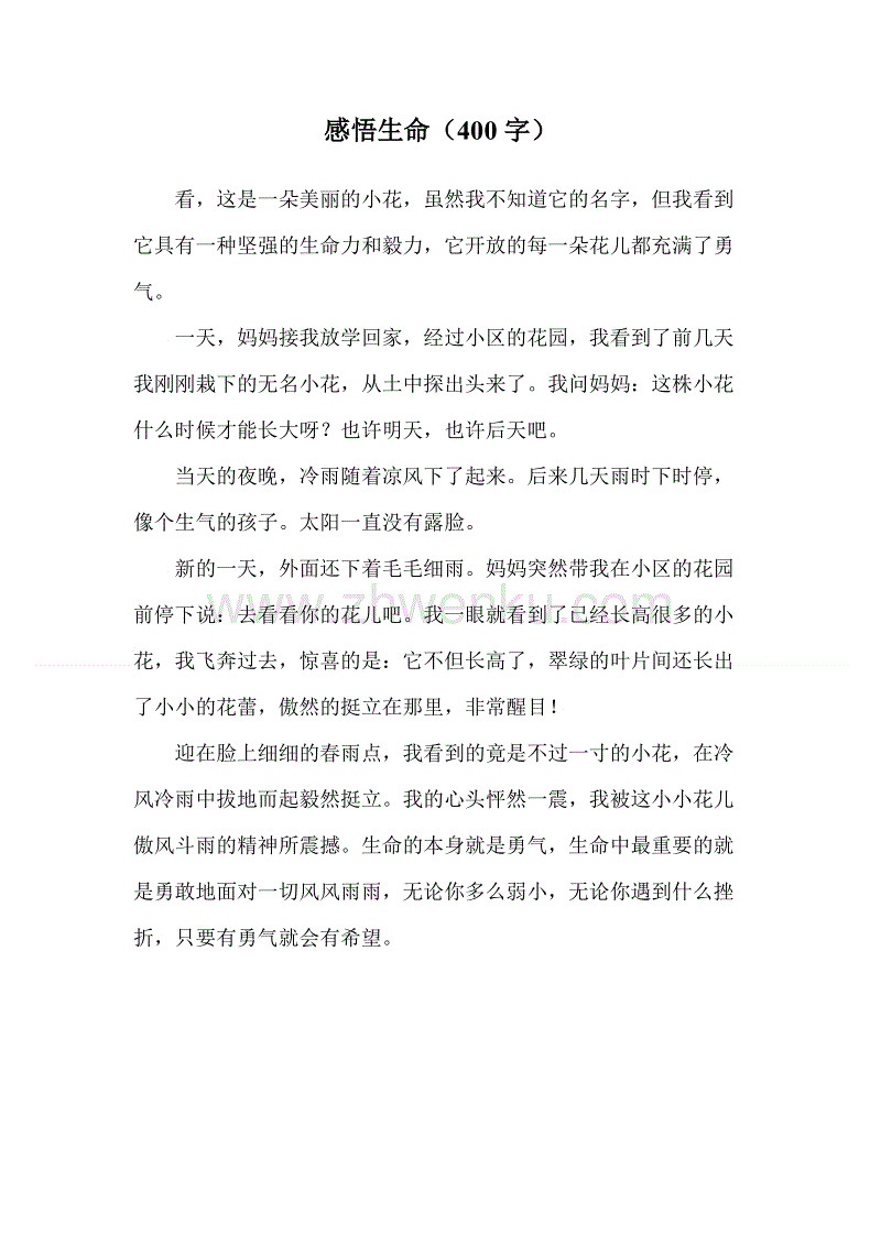 我觉得永恒的_400字
