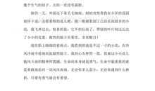 感悟瞬间感悟永恒_400字