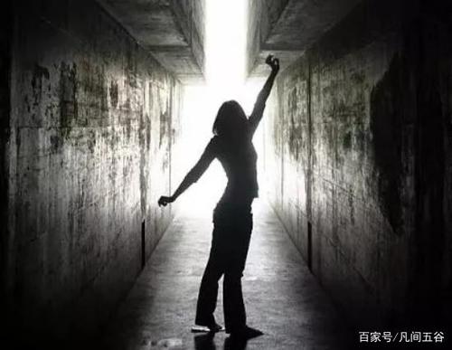 我的年轻人并不困惑_1200字