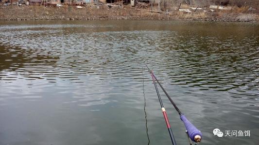 让太阳走进灵魂_700字