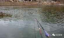 让阳光走进心灵_700字