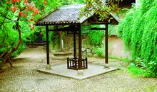 路在脚下延伸 _800字