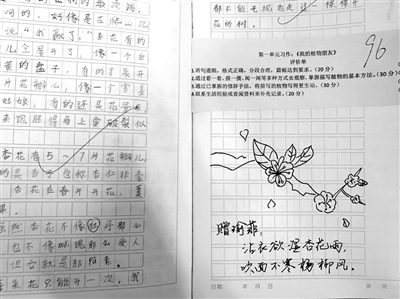 草地上的组成：小草_350字