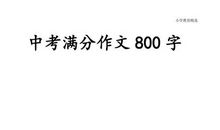 中考_800字