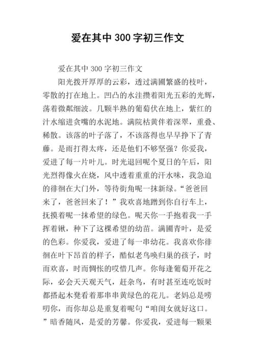 考试超过_300字后