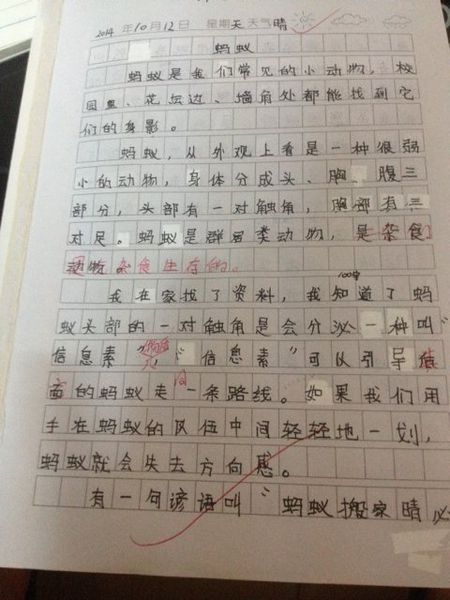 增长_100字