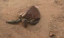 有一种尖锐在心里搁浅_300字