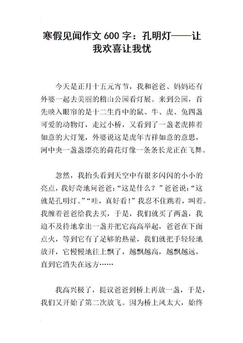 高中，冬季假期成分：我的寒假_1200字