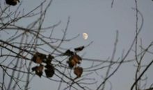 美丽际遇_1200字