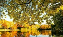 我欣赏秋天_750字