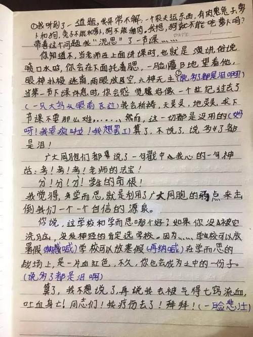 战争中的小学成分_400字