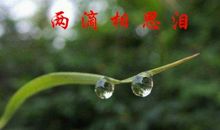 荷塘的思念_600字