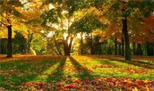 大连的秋天_500字