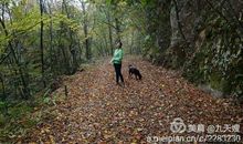 秋天的约会_800字