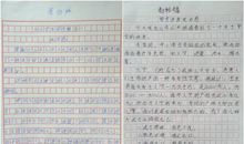 关于雾的作文300字_250字