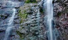 [寒假游记征文]看，河畔那抹翠绿_1000字