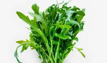 第一章 命_1500字