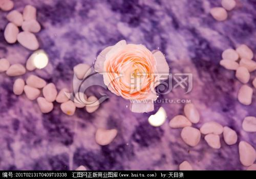 一朵花_600字
