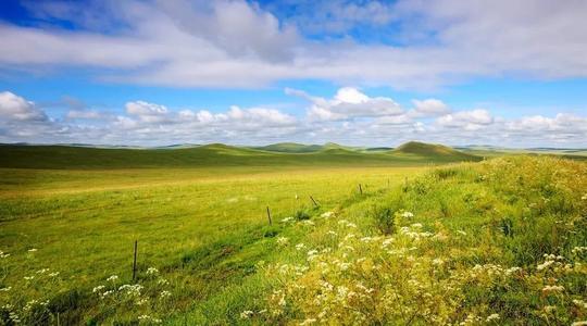 百分点不正确_750字