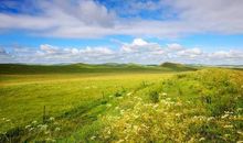 不完美的一百分_750字