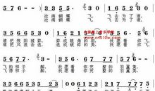 蝴蝶飞沧海_1500字