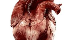 倾听她们的声音_800字