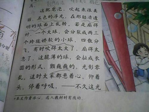 泡沫_250字