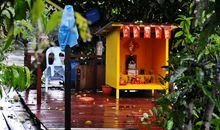 读《半雨半晴》有感_550字