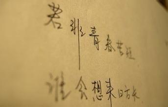 fumany_800字