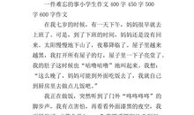 一件难忘的事_800字