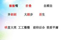 新来的胡老师_750字