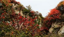 秋天的云台山_500字