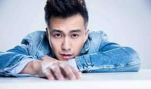 不止是偶像_400字