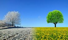 冬天过后是春天_1200字