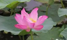 微笑人生_1500字