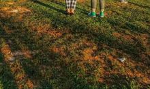 友情，脆弱不堪_800字