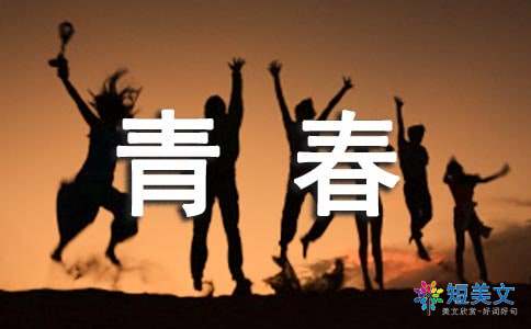 伴侣_2000字