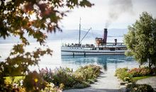 Discover New Zealand_700字