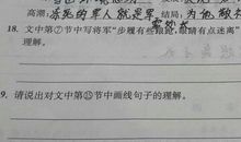 [发现征文]我发现：理解是一缕春风能唤醒沉寂的心田_1200字