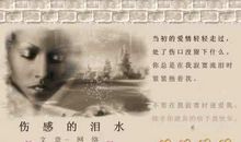 那些傻瓜的爱情_700字