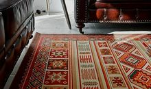 自由的风_1500字