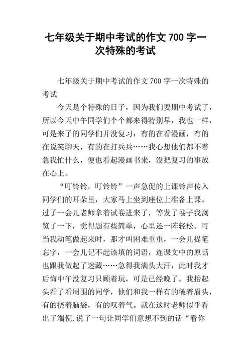 特别考试_600字